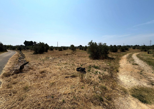 Terreno Agricolo in vendita a Sannicola