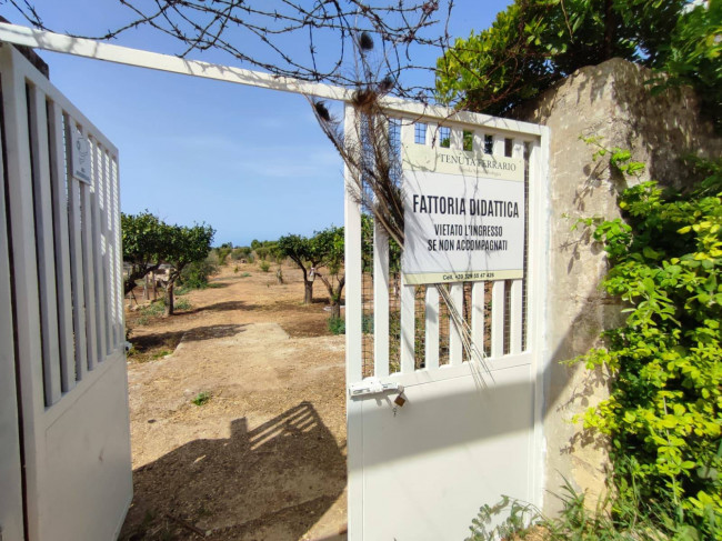 Azienda Agricola in vendita a Alezio