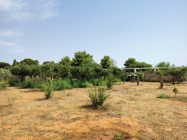Azienda Agricola in vendita a Alezio
