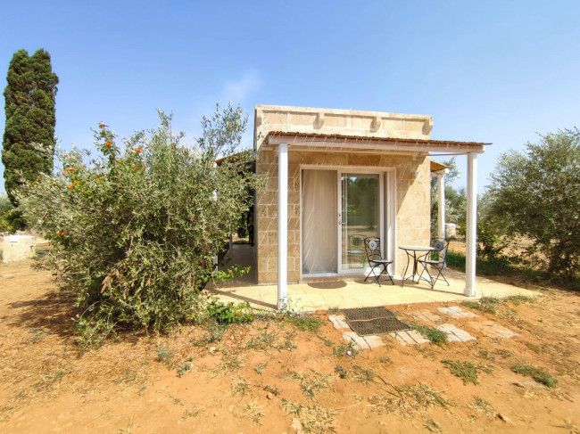 Azienda Agricola in vendita a Alezio