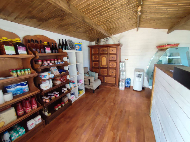 Azienda Agricola in vendita a Alezio