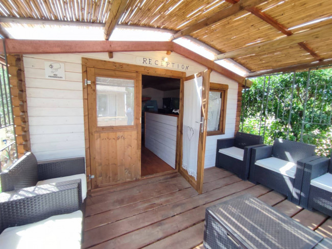 Azienda Agricola in vendita a Alezio