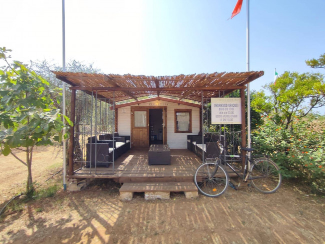 Azienda Agricola in vendita a Alezio