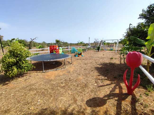 Azienda Agricola in vendita a Alezio