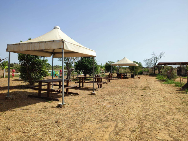 Azienda Agricola in vendita a Alezio