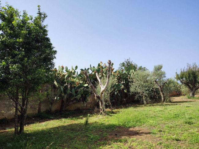 Azienda Agricola in vendita a Alezio