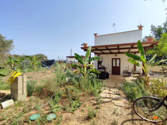 Azienda Agricola in vendita a Alezio