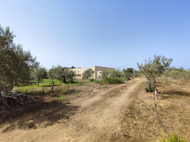 Azienda Agricola in vendita a Alezio