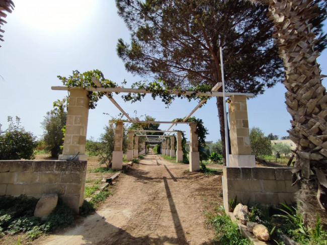 Azienda Agricola in vendita a Alezio