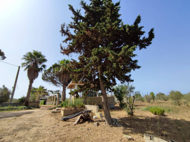 Azienda Agricola in vendita a Alezio