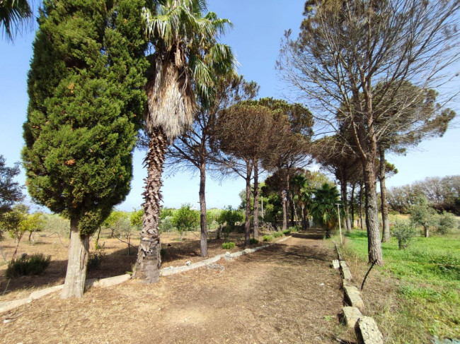 Azienda Agricola in vendita a Alezio