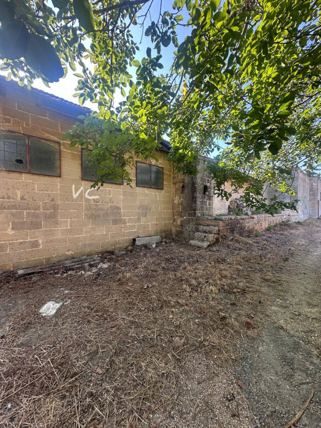 Locale commerciale in vendita a Sannicola