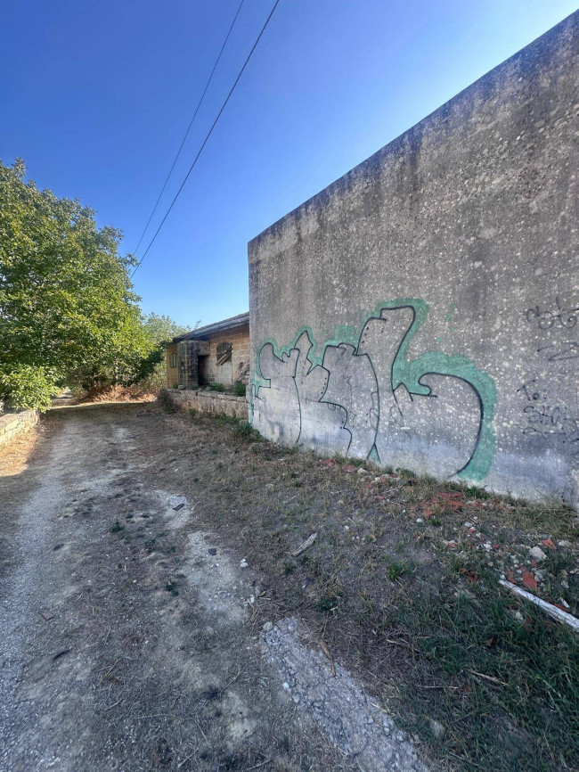 Locale commerciale in vendita a Sannicola