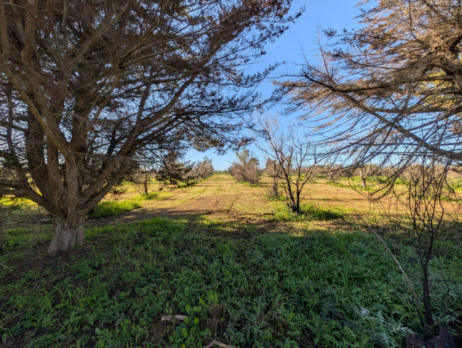 Villa in vendita a Gallipoli