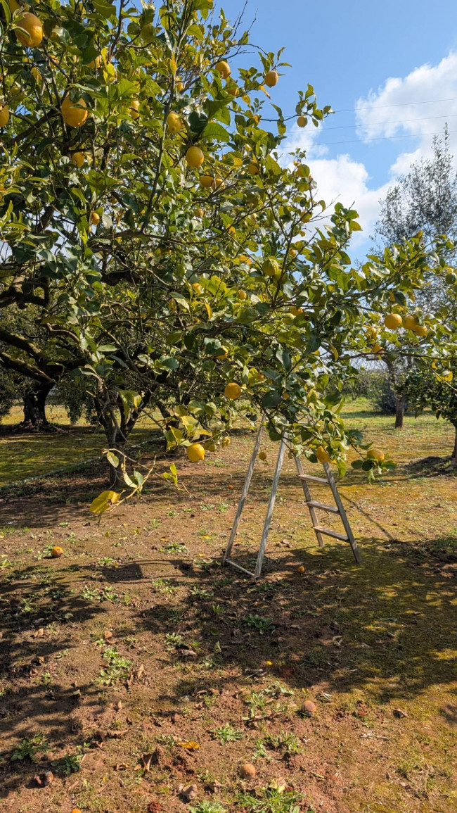 Villa in vendita a Sannicola