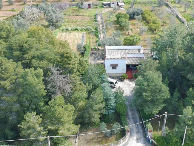 Villa in vendita a Sannicola