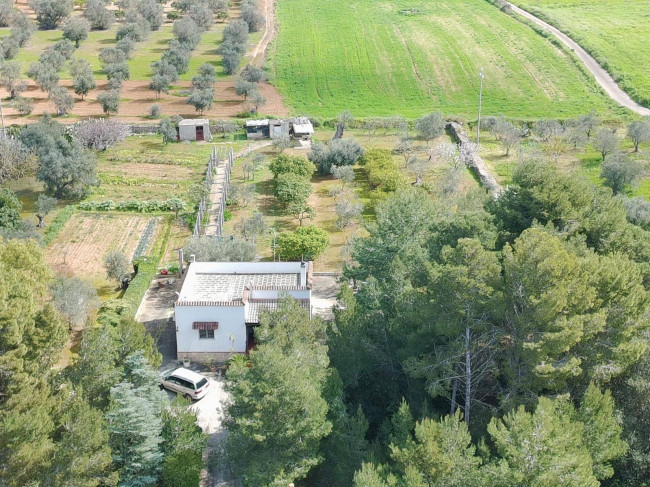 Villa in vendita a Sannicola