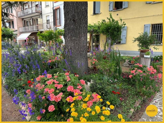 Appartamento in affitto a Molinella