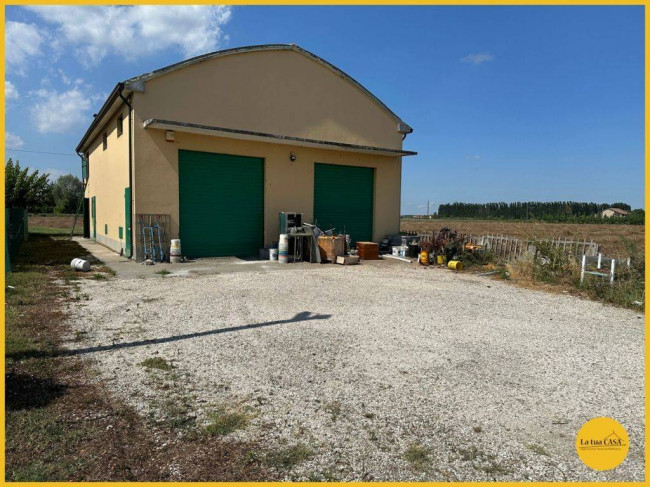 Capannone in vendita a Molinella