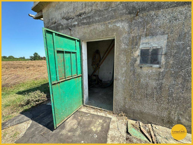 Capannone in vendita a Molinella