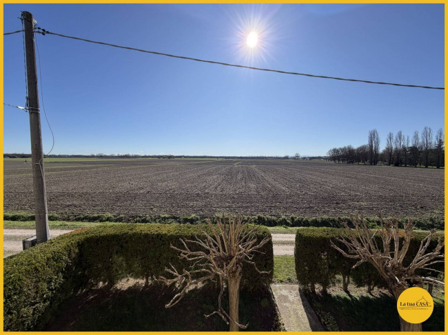 Villette a schiera in affitto a Argenta