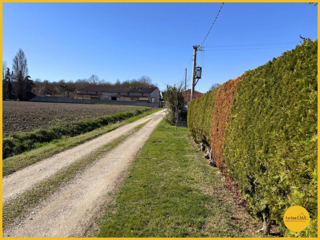 Villette a schiera in affitto a Argenta