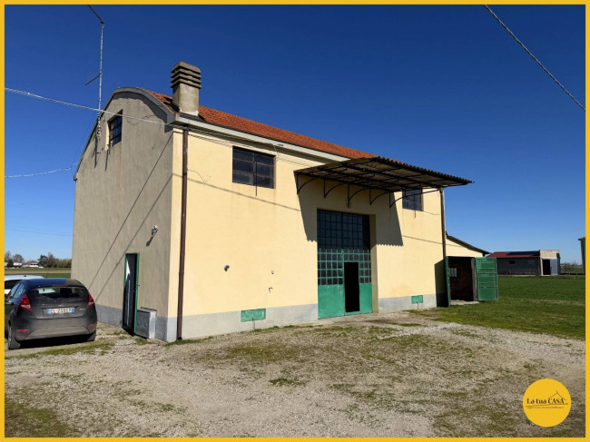 Villette a schiera in affitto a Argenta