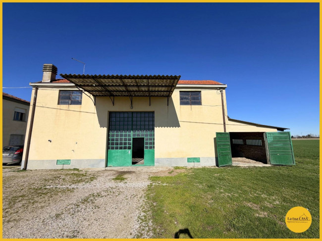 Villette a schiera in affitto a Argenta