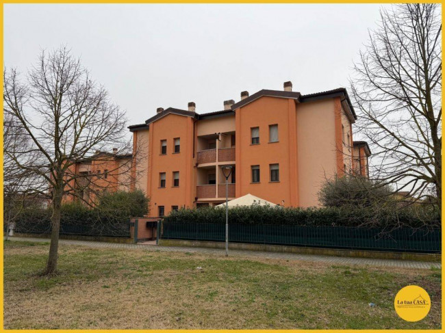 Appartamento in affitto a Molinella