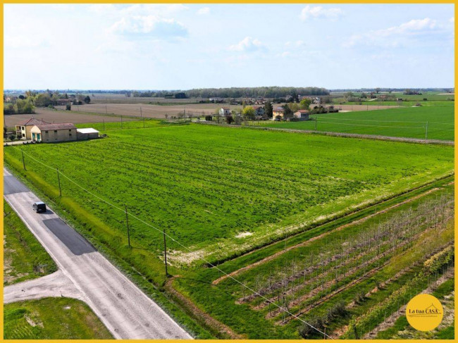 Terreno Agricolo in vendita a Molinella