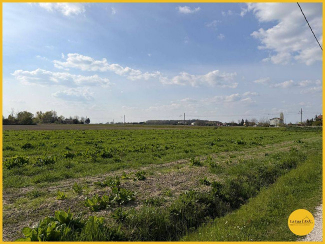 Terreno Agricolo in vendita a Molinella