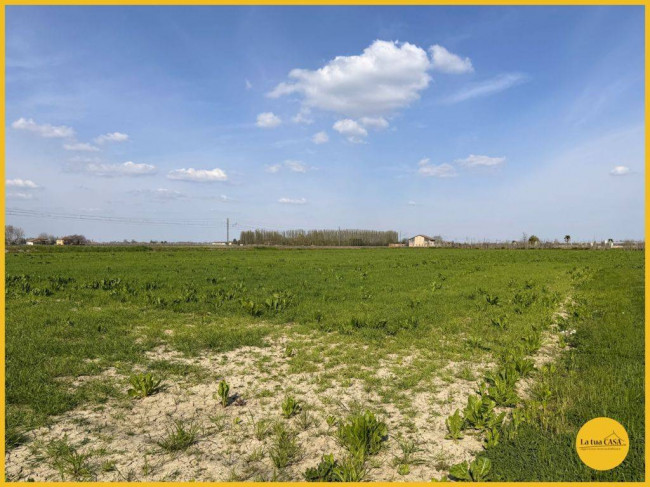 Terreno Agricolo in vendita a Molinella