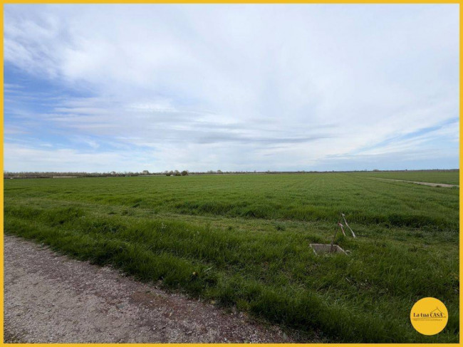 Casa indipendente in vendita a Molinella