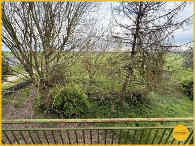 Casa indipendente in vendita a Molinella