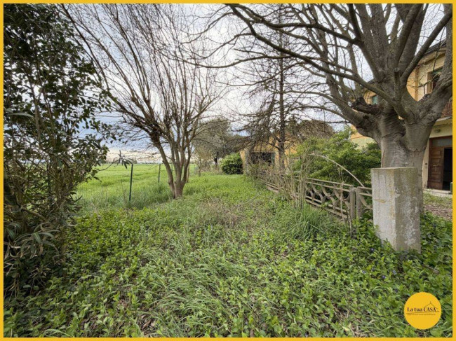 Casa indipendente in vendita a Molinella