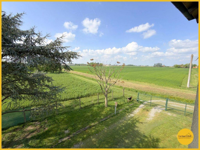 Appartamento in affitto a Molinella