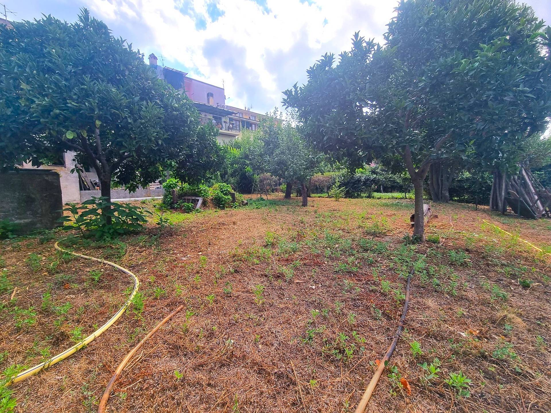 Appartamento in vendita a Calice Ligure - foto 6