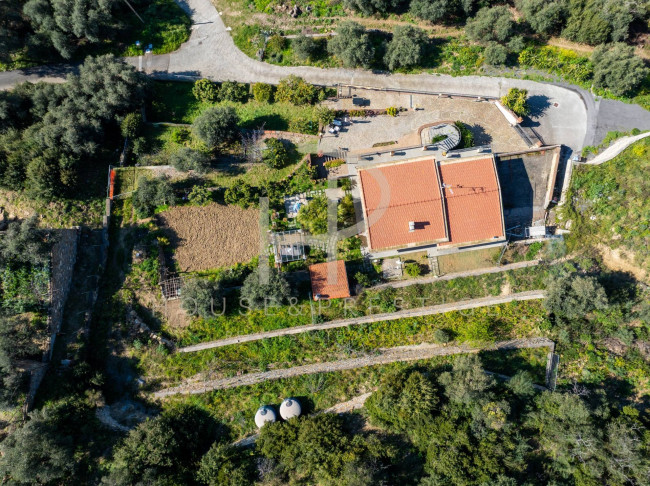 Villa in vendita a Imperia