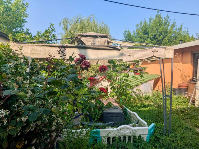  for sale in Ferrara