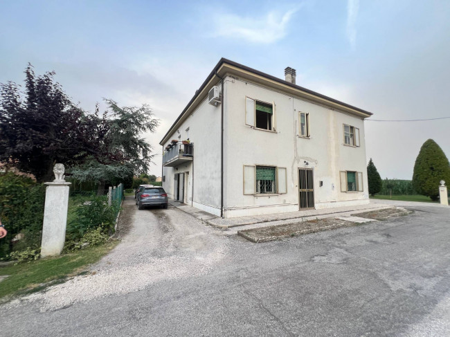  for sale in Ferrara