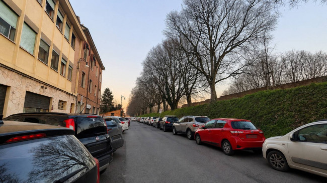 Stanza singola in affitto a Ferrara