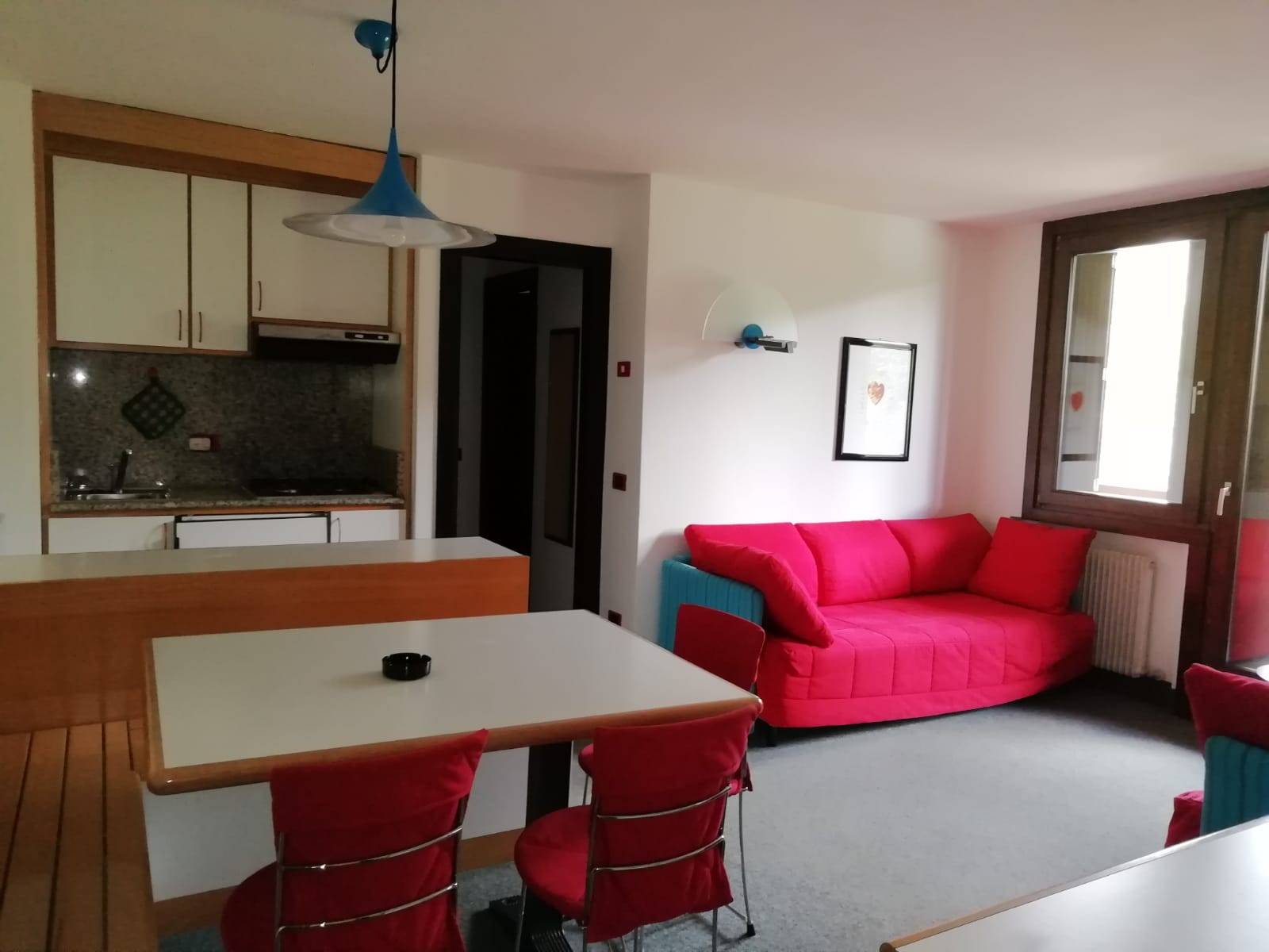 Appartamento in vendita a Pinzolo