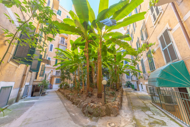 Appartamento in affitto a Roma Re di Roma