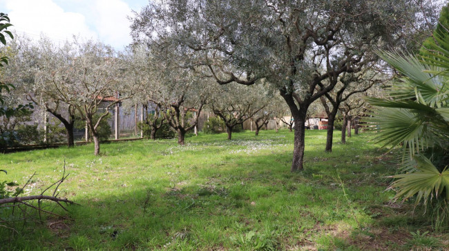 Appartamento in vendita a Aprilia