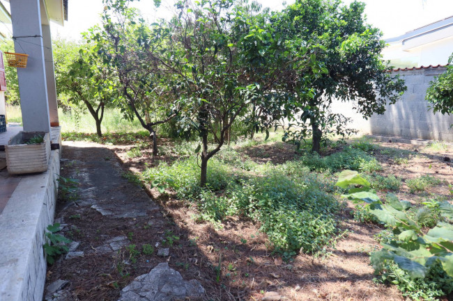 Villa in vendita a Anzio