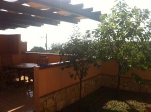 Terraced House for sale in Letojanni