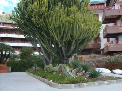 Appartamento in vendita a Letojanni