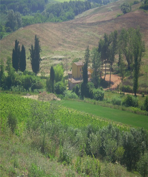 Foto - Rustico In Vendita A Casciana Terme Lari