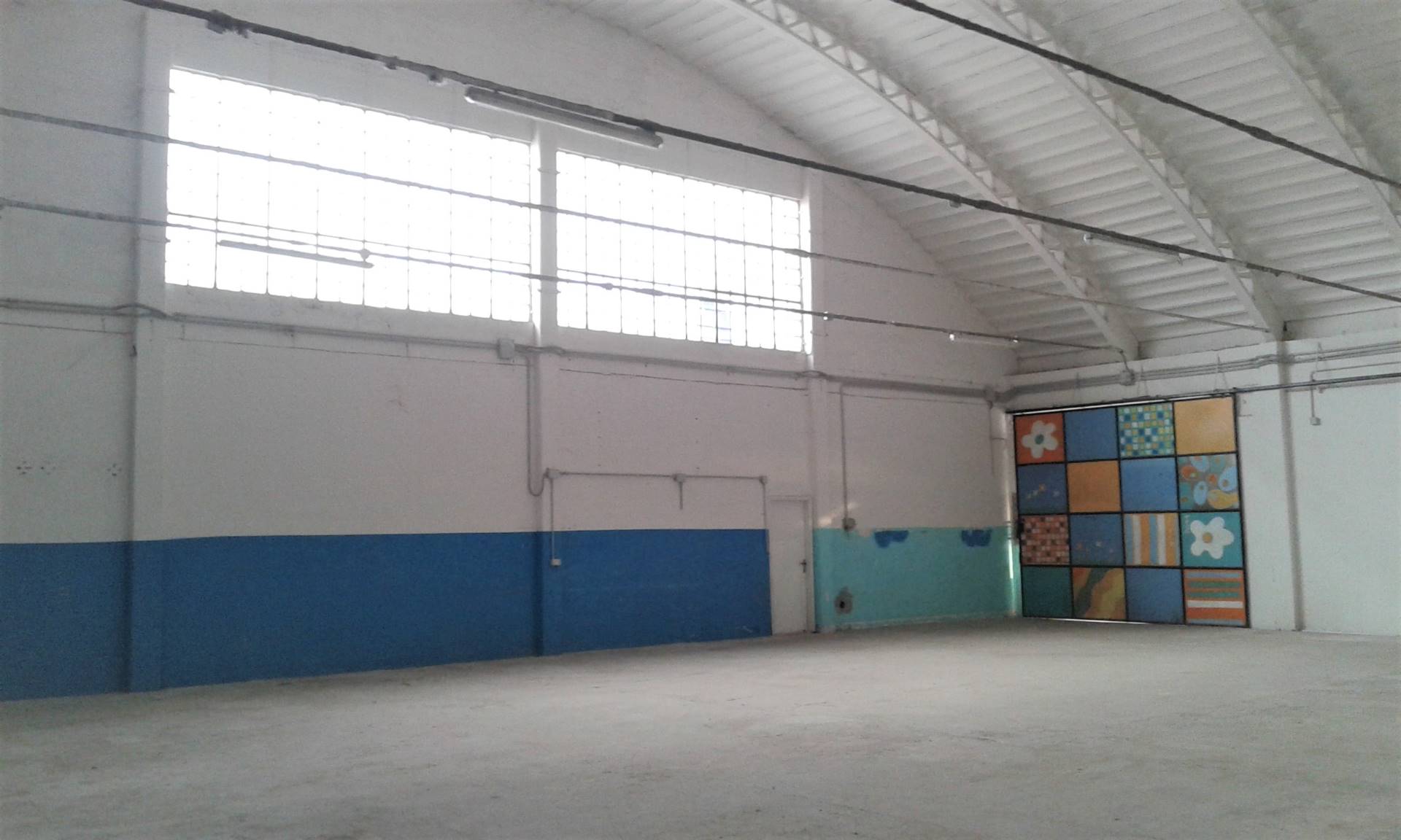 Capannone Commerciale LIVORNO vendita  Salviano  Royal Immobiliare Professional S.a.S.