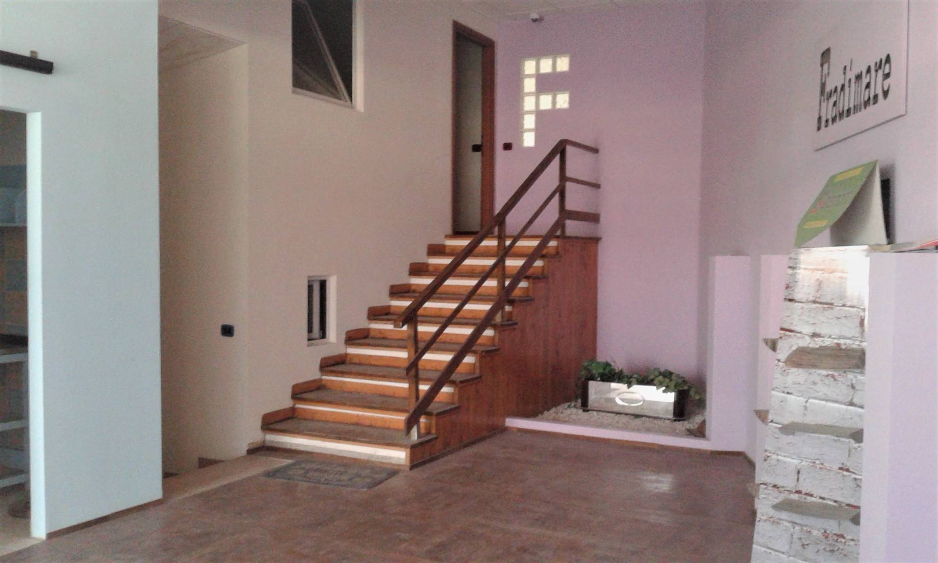 Capannone Commerciale LIVORNO vendita  Salviano  Royal Immobiliare Professional S.a.S.